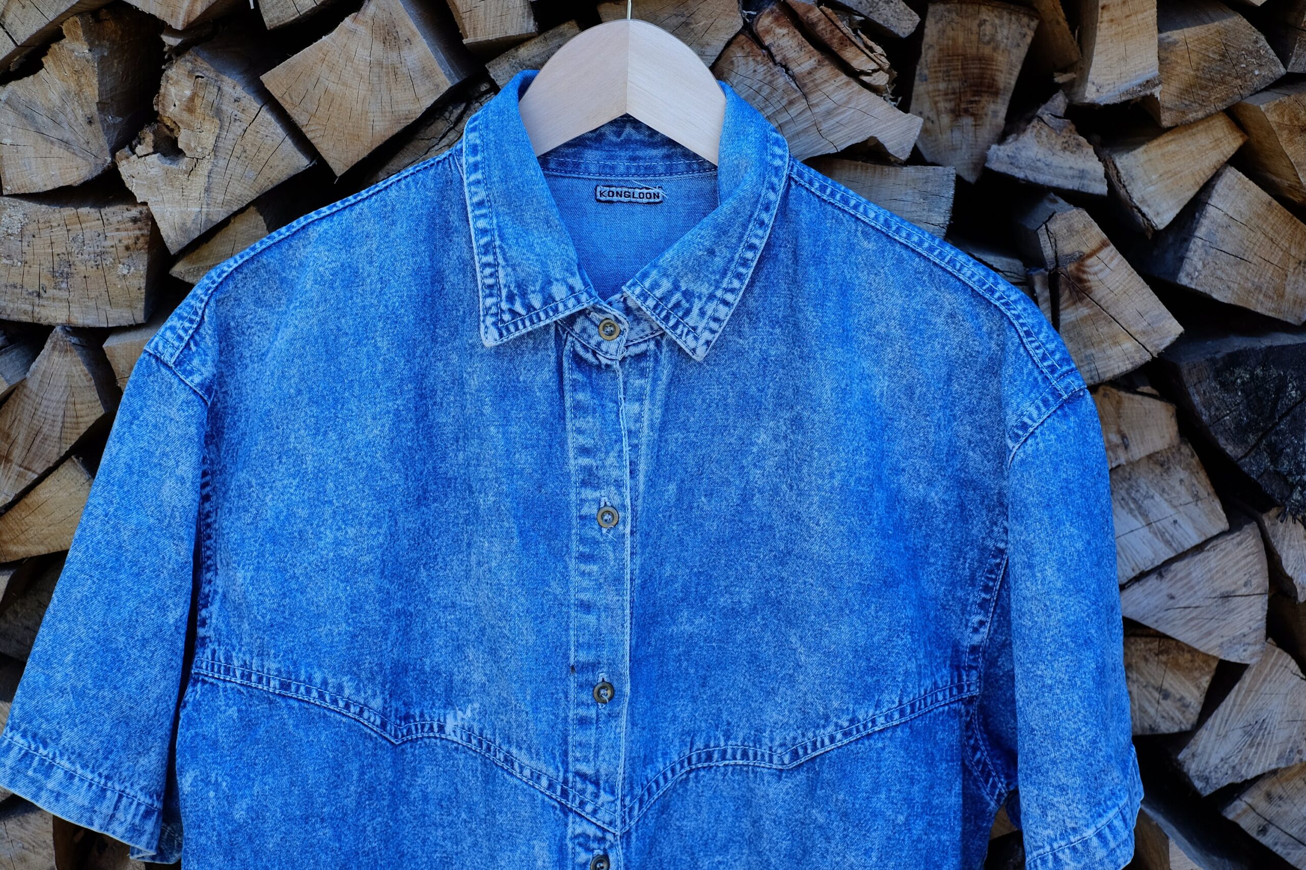 Vintage Short Sleeved Western Style Embroidered Floral Design Denim Shirt - Image 9