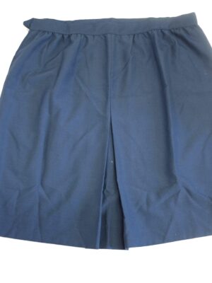 Vintange Blue Plus Size Skirt EU Size W52